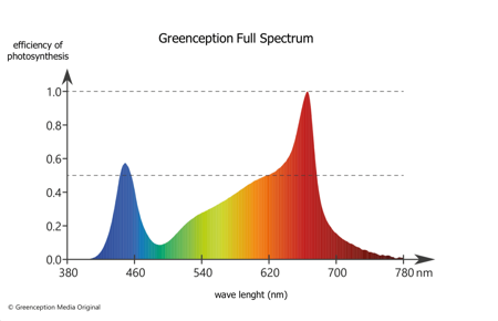 Greenception GC Bar 8 560W