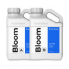 Athena Bloom A+B 950ml