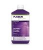 Plagron Power Roots 500ml